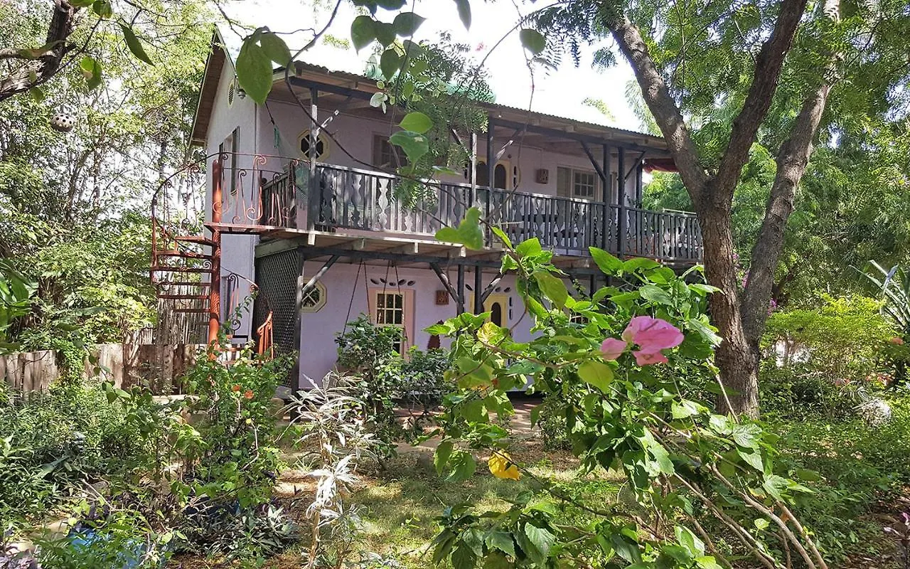 Jakes Hotel Treasure Beach
